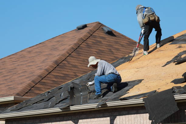 Best Roof Maintenance and Cleaning  in Dulles Town Center, VA